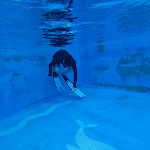 🐬 파라다이브에서 DYN 거리 째는 중! 오늘 기록 가즈아! 🏊‍♂️✨